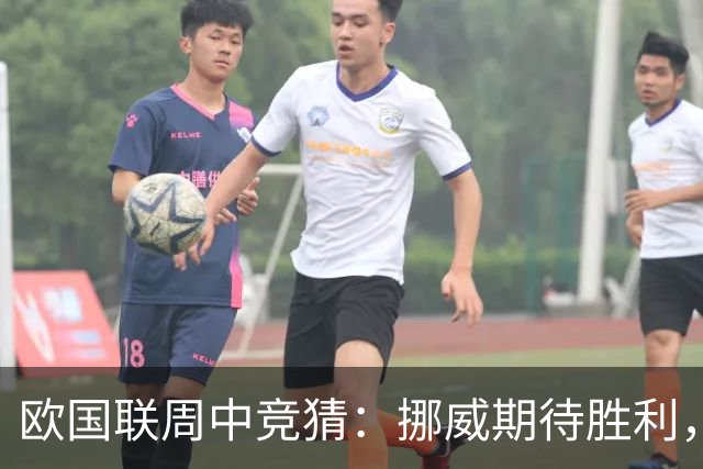 欧国联周中竞猜：挪威期待胜利，谨慎应对复杂局势